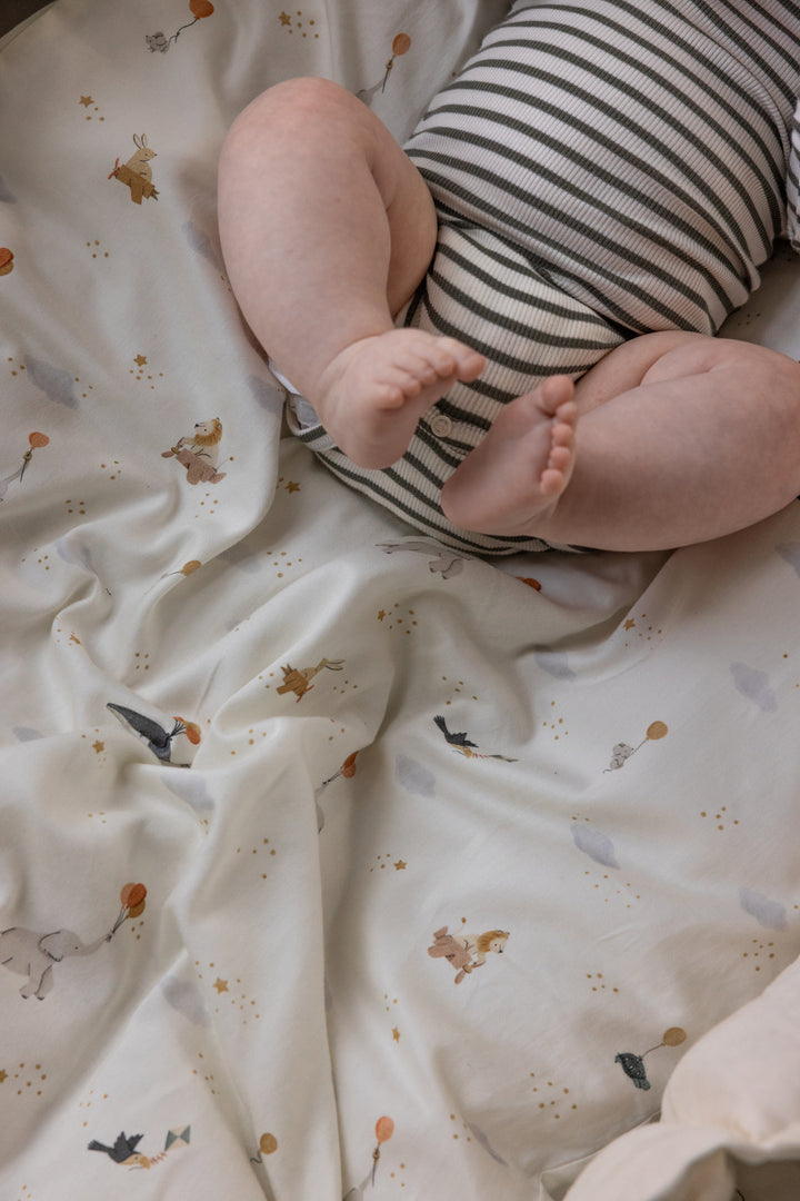 Seingjarklæðir, World of Sebra