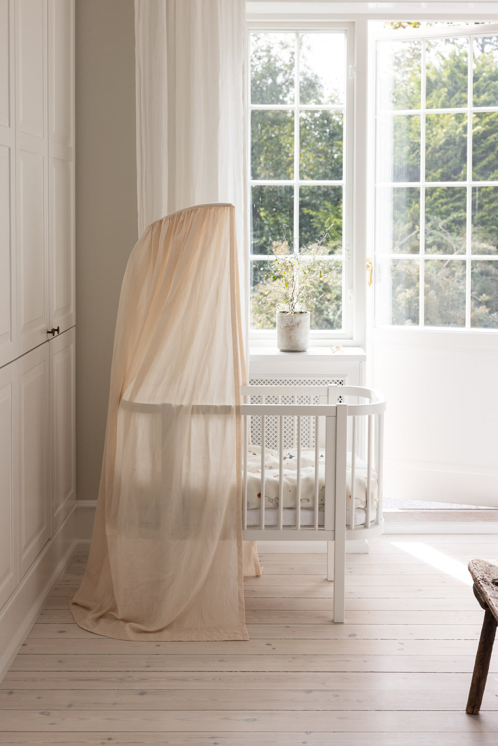 Sebra hjá-song, White