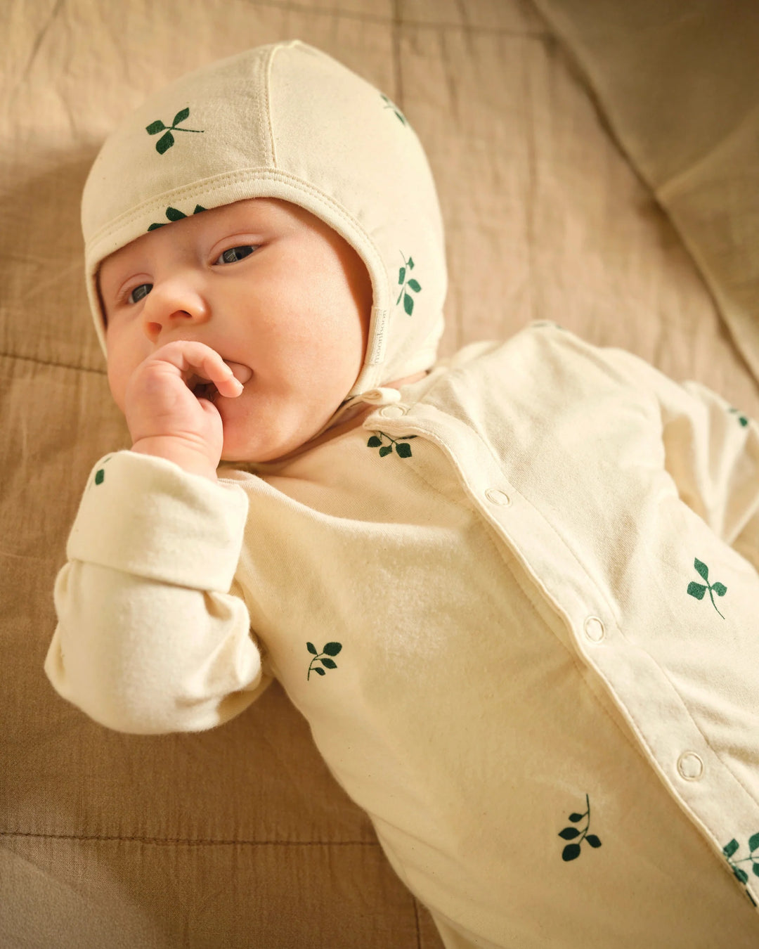 Gávueskja við drakt og húgvu, Leaf