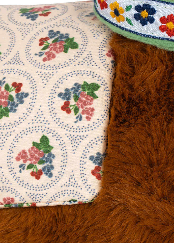 Fiona hestur