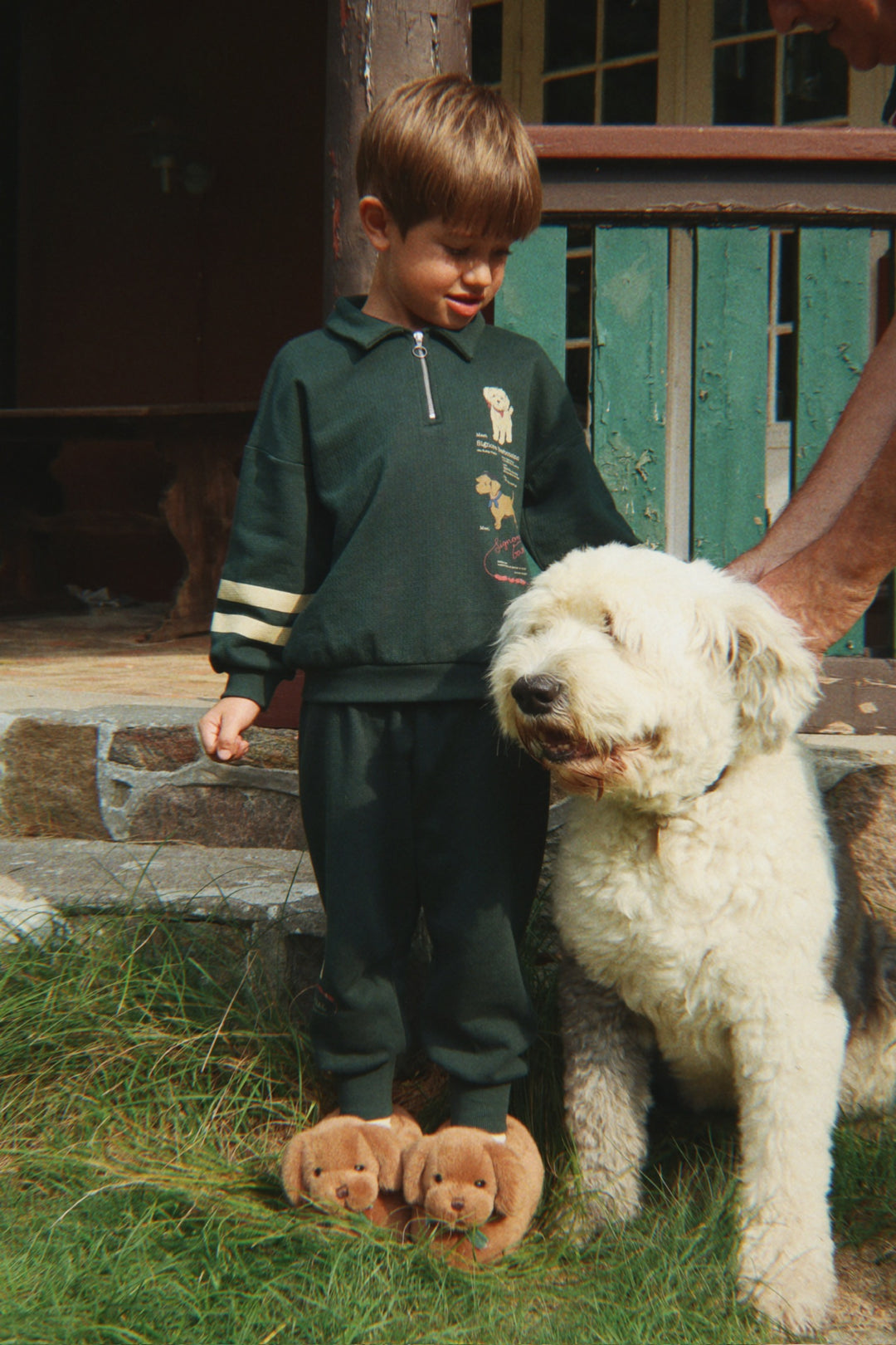 Sausage Dog inniskógvar