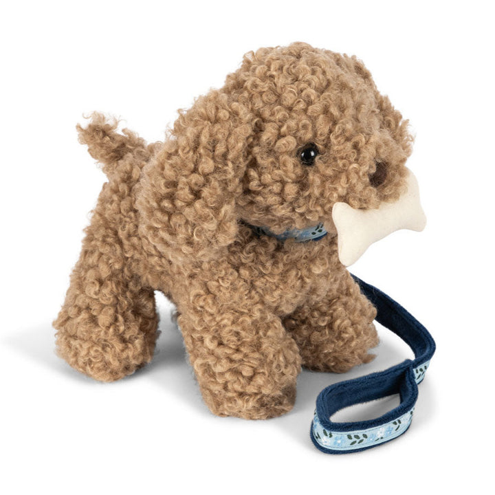 Lulu Puppy