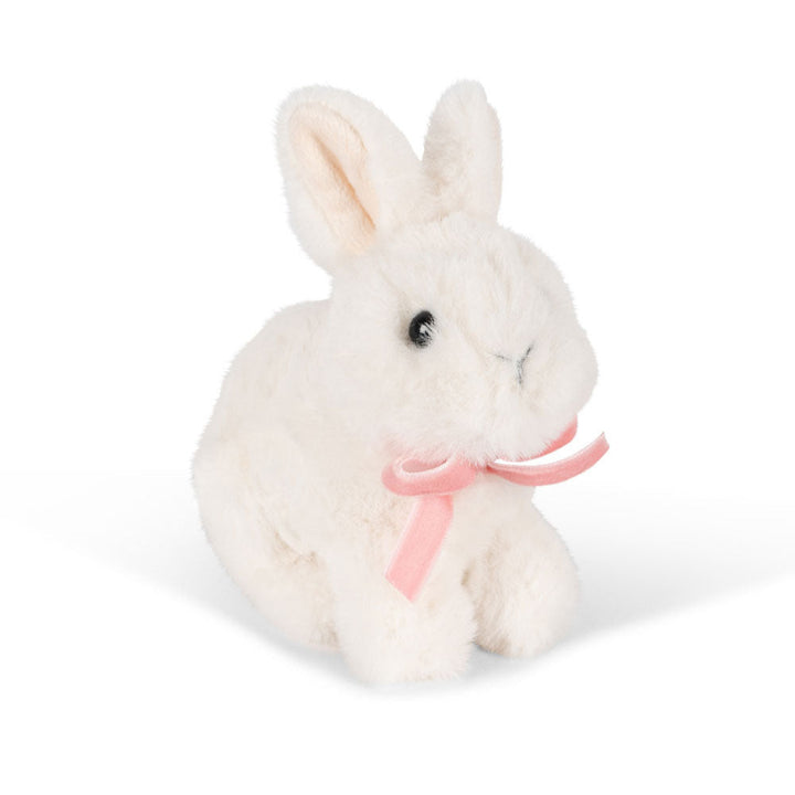 Baby Animal, Bunny