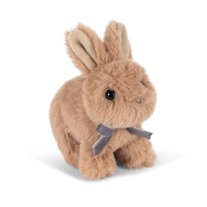 Baby Animal, Bunny