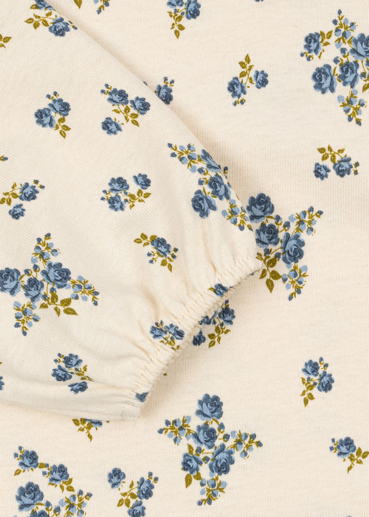 Drey blusa, Tramonto