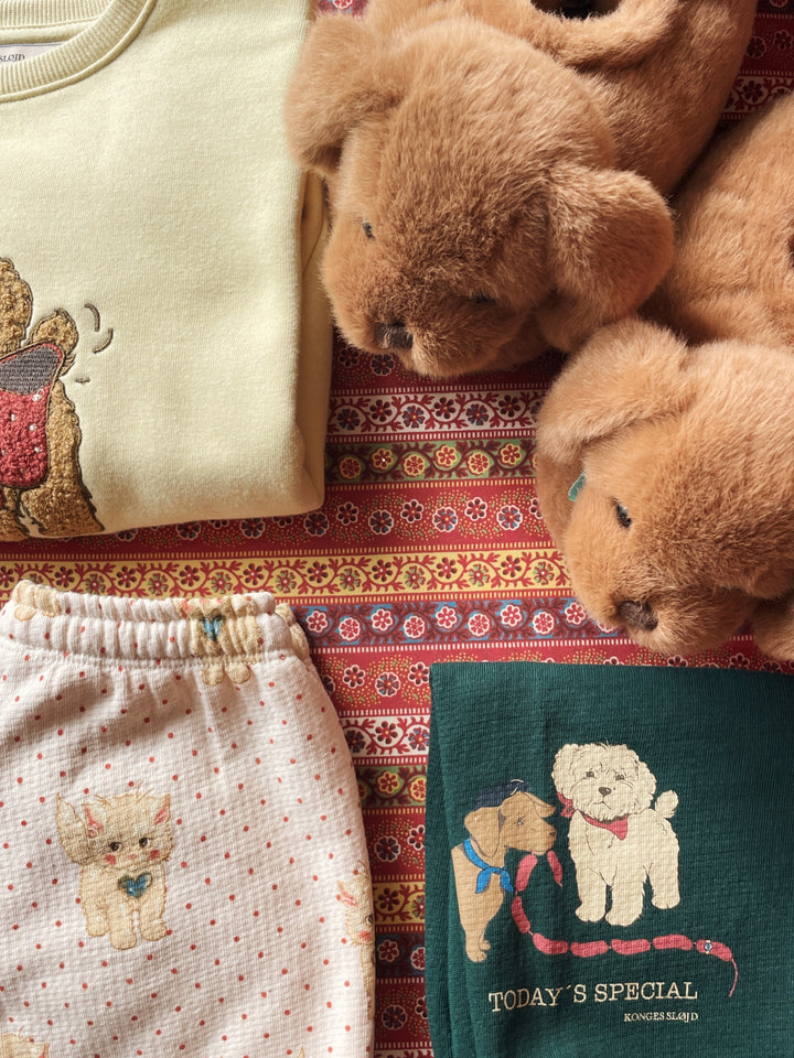 Sausage Dog inniskógvar