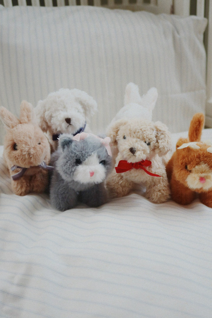 Baby Animal, Bunny