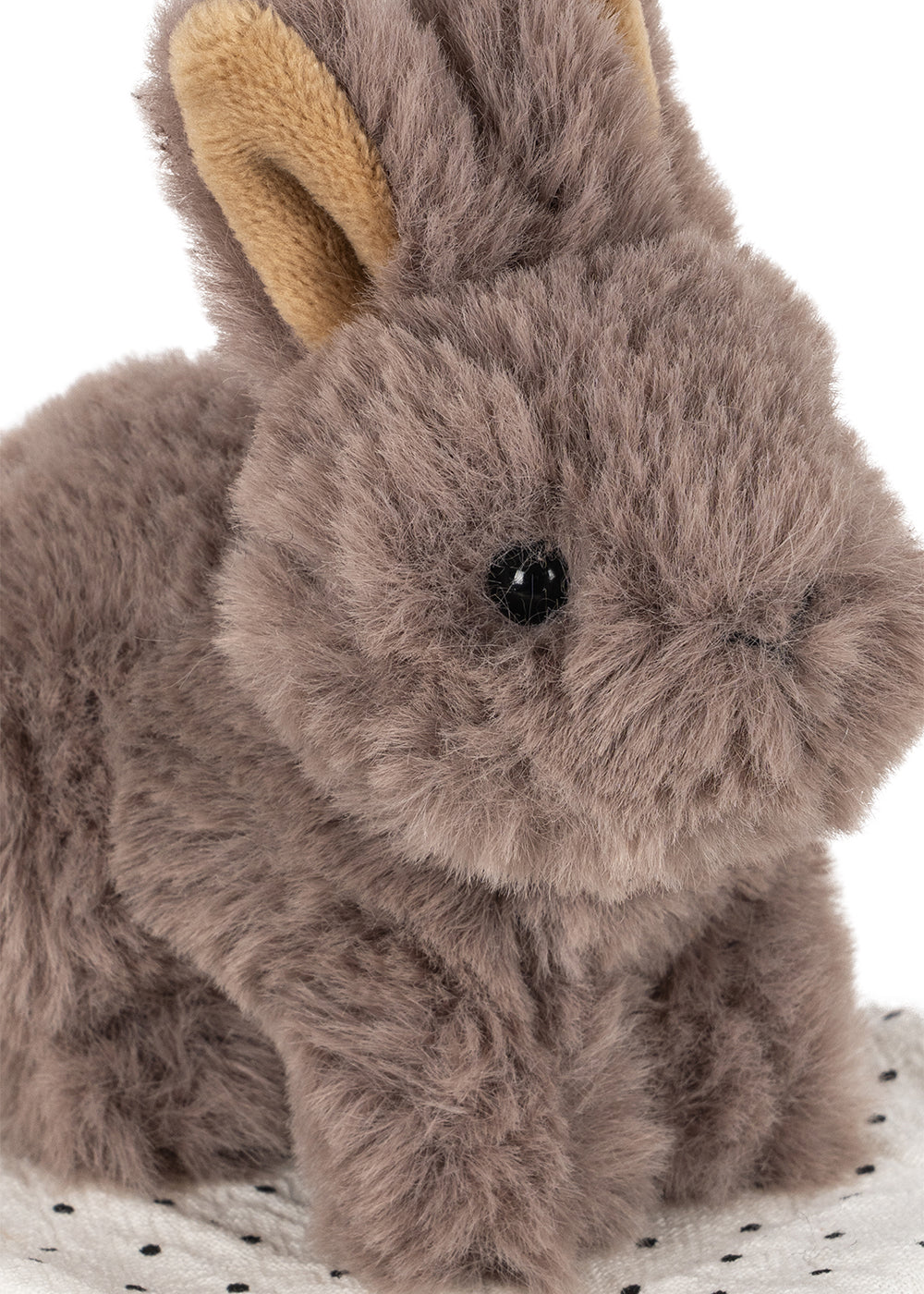 Take Care Of Me Bunny