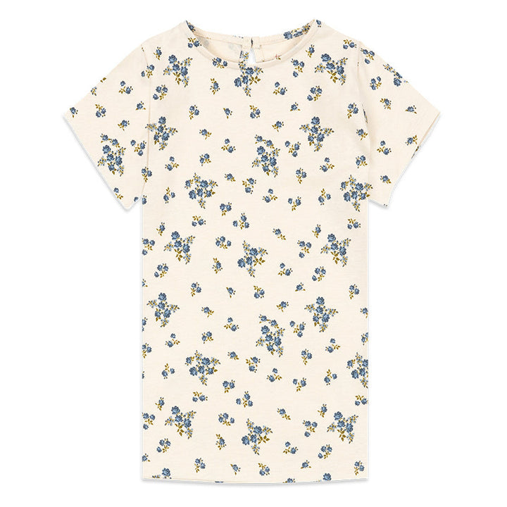 Drey blusa, Tramonto