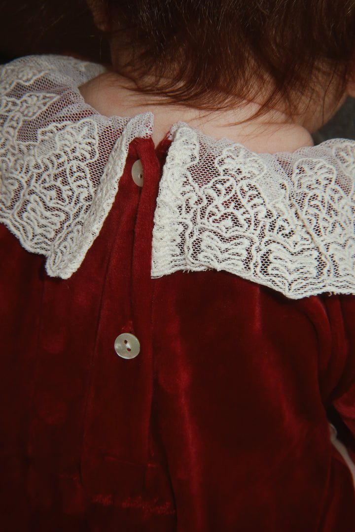 Venola body, Red Dahlia