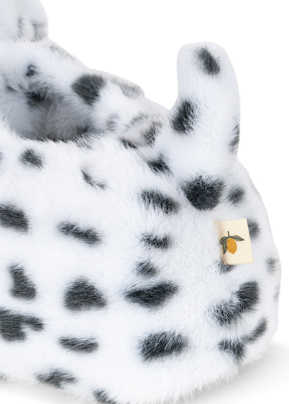 Dalmatian inniskógvar