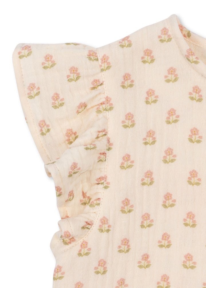 Coco toppur, Carta Rosa