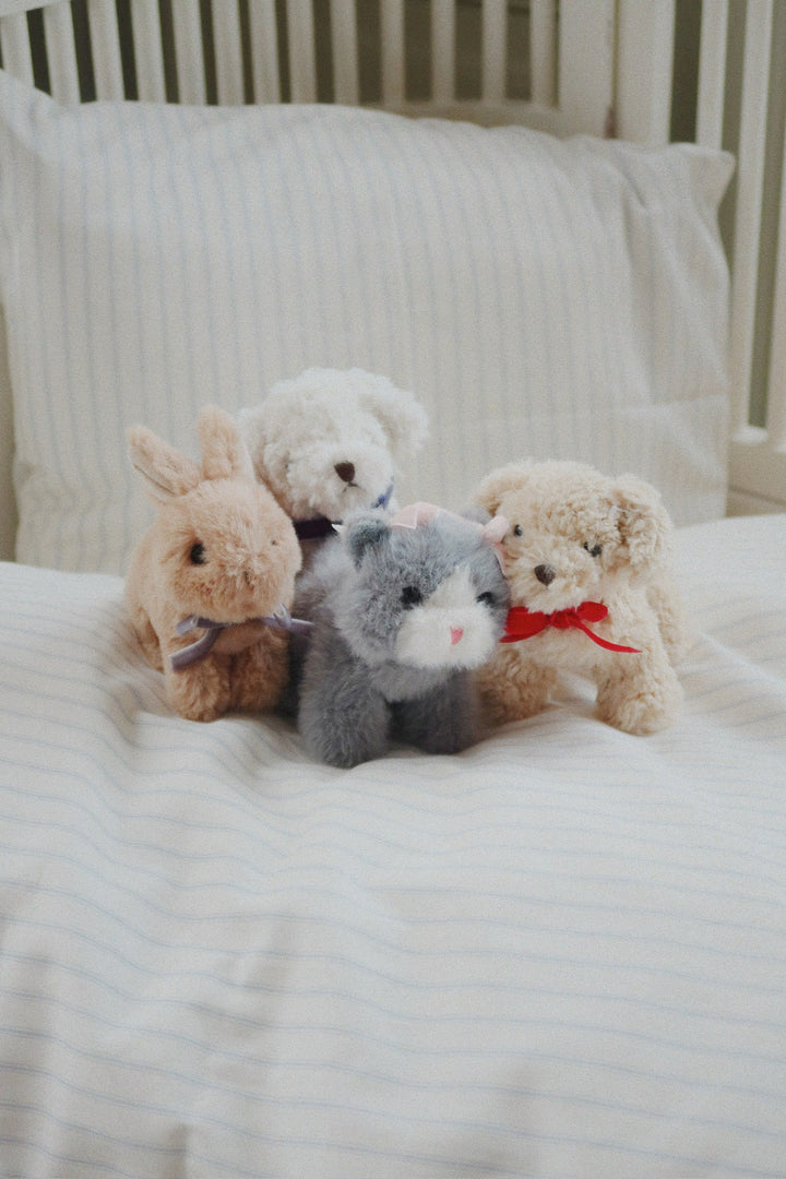 Baby Animal, Bunny