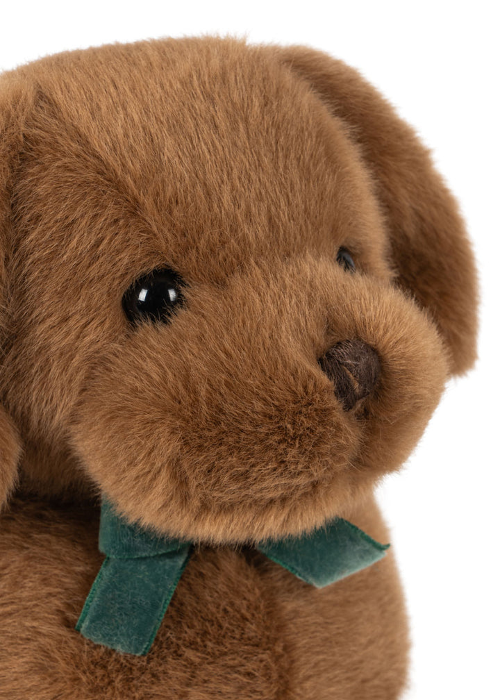 Sausage Dog inniskógvar