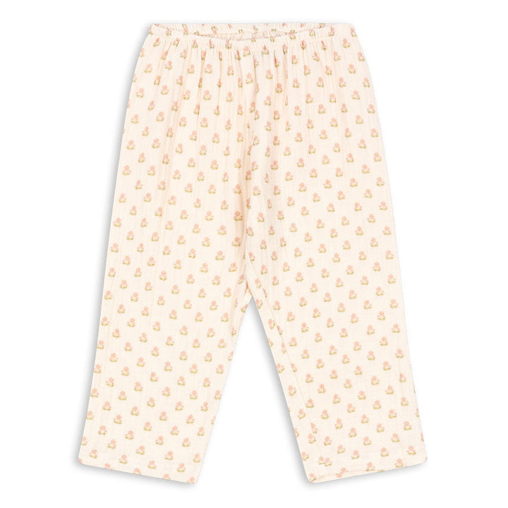 Coco buksur, Carta Rosa