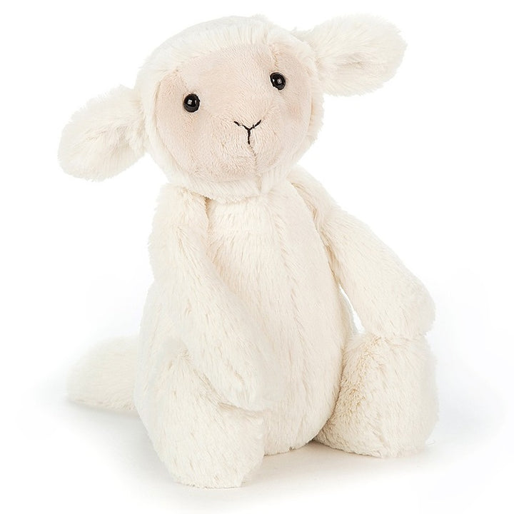 Bashful Lamb, Medium